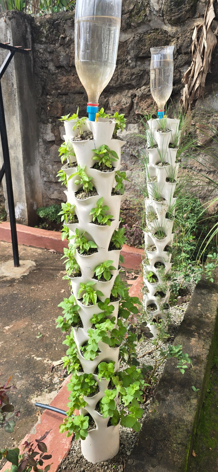 Tower garden close up